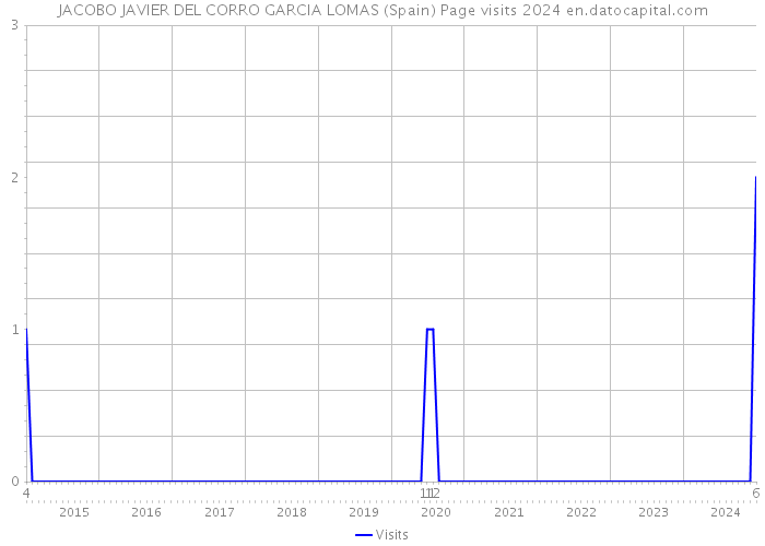 JACOBO JAVIER DEL CORRO GARCIA LOMAS (Spain) Page visits 2024 