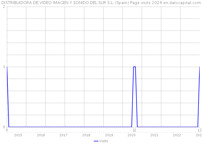 DISTRIBUIDORA DE VIDEO IMAGEN Y SONIDO DEL SUR S.L. (Spain) Page visits 2024 