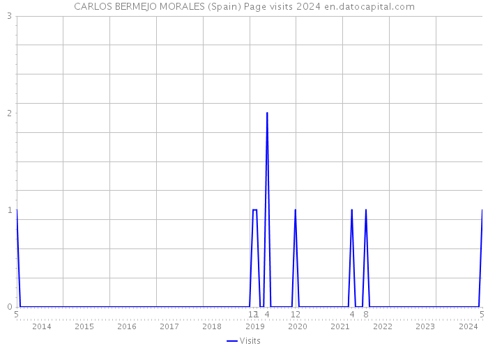 CARLOS BERMEJO MORALES (Spain) Page visits 2024 
