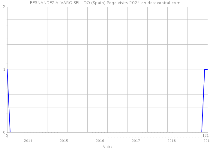 FERNANDEZ ALVARO BELLIDO (Spain) Page visits 2024 