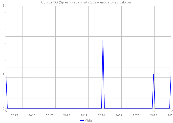 CB PEYCO (Spain) Page visits 2024 