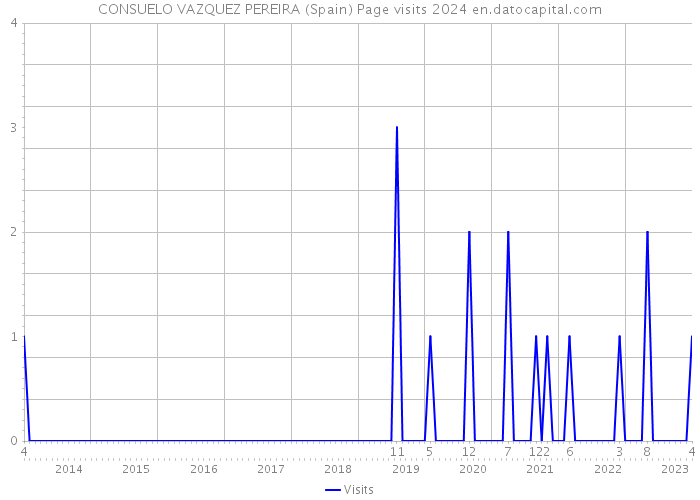 CONSUELO VAZQUEZ PEREIRA (Spain) Page visits 2024 