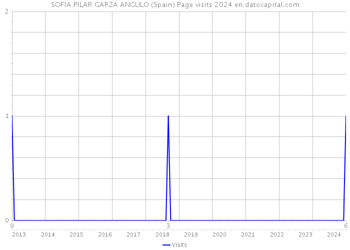 SOFIA PILAR GARZA ANGULO (Spain) Page visits 2024 