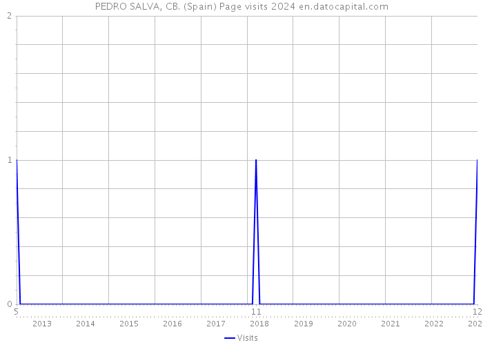 PEDRO SALVA, CB. (Spain) Page visits 2024 