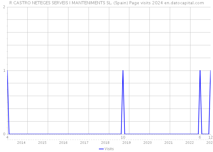 R CASTRO NETEGES SERVEIS I MANTENIMENTS SL. (Spain) Page visits 2024 