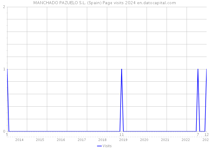 MANCHADO PAZUELO S.L. (Spain) Page visits 2024 
