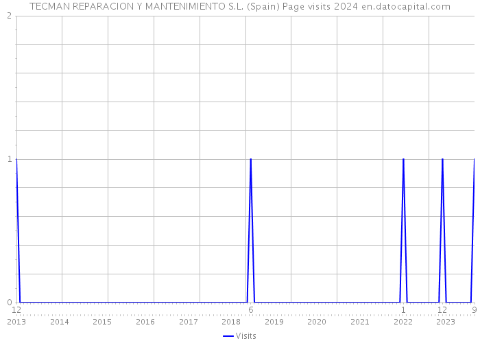 TECMAN REPARACION Y MANTENIMIENTO S.L. (Spain) Page visits 2024 