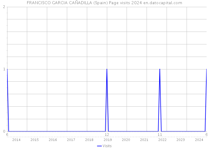 FRANCISCO GARCIA CAÑADILLA (Spain) Page visits 2024 