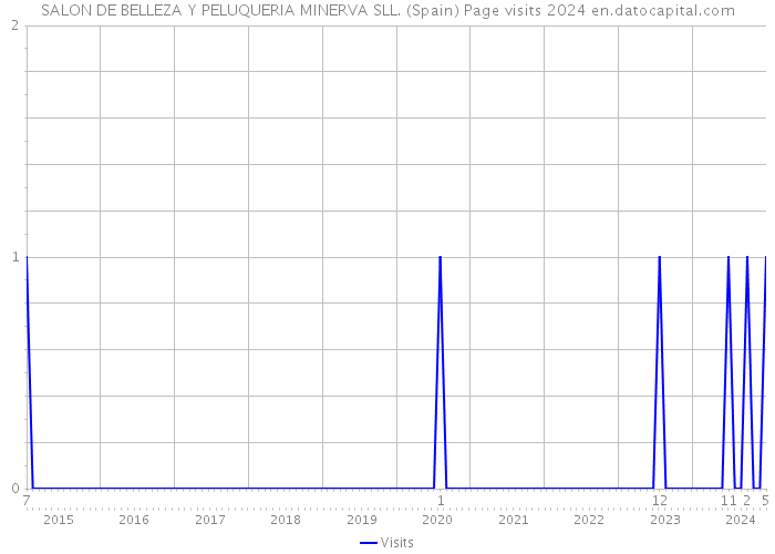 SALON DE BELLEZA Y PELUQUERIA MINERVA SLL. (Spain) Page visits 2024 