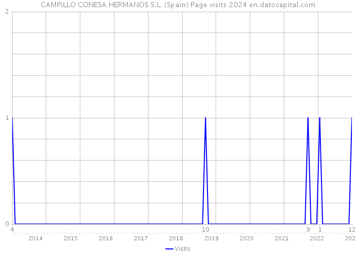 CAMPILLO CONESA HERMANOS S.L. (Spain) Page visits 2024 