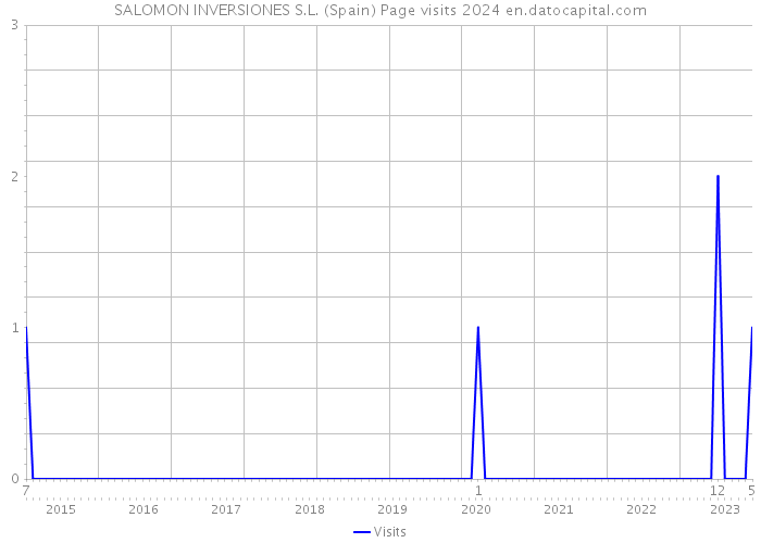 SALOMON INVERSIONES S.L. (Spain) Page visits 2024 