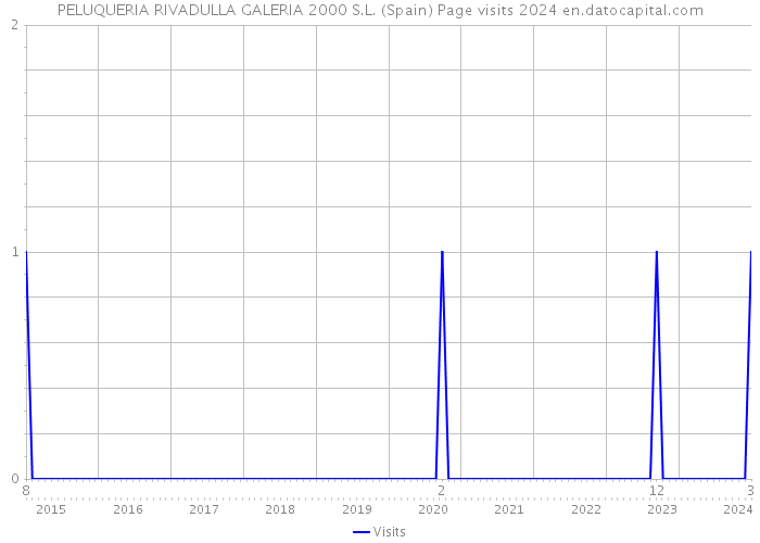 PELUQUERIA RIVADULLA GALERIA 2000 S.L. (Spain) Page visits 2024 