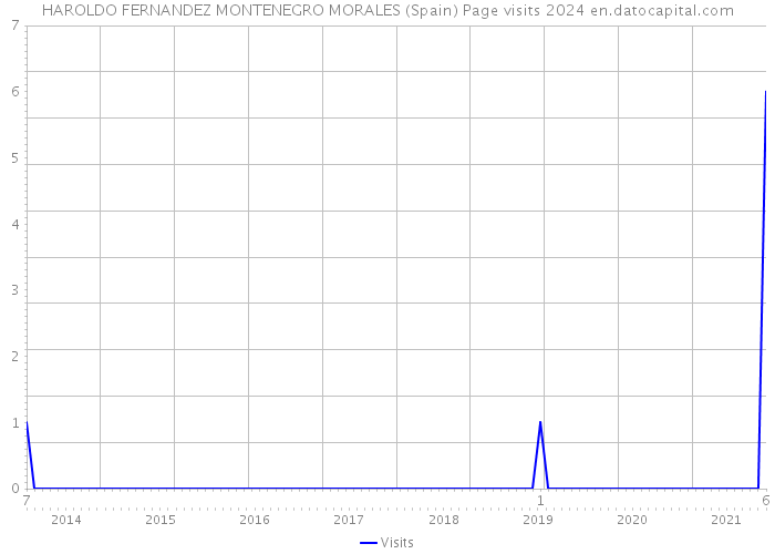 HAROLDO FERNANDEZ MONTENEGRO MORALES (Spain) Page visits 2024 