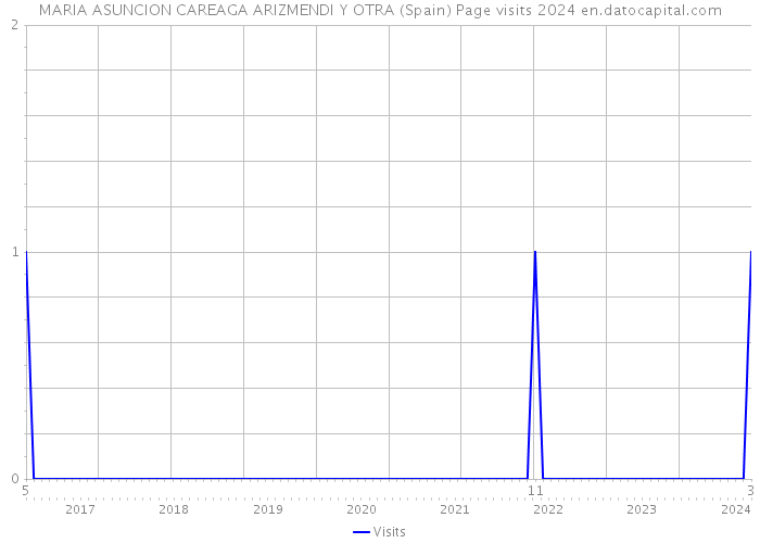 MARIA ASUNCION CAREAGA ARIZMENDI Y OTRA (Spain) Page visits 2024 