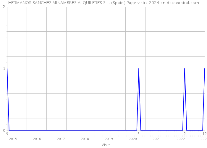 HERMANOS SANCHEZ MINAMBRES ALQUILERES S.L. (Spain) Page visits 2024 