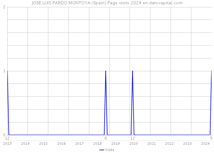 JOSE LUIS PARDO MONTOYA (Spain) Page visits 2024 