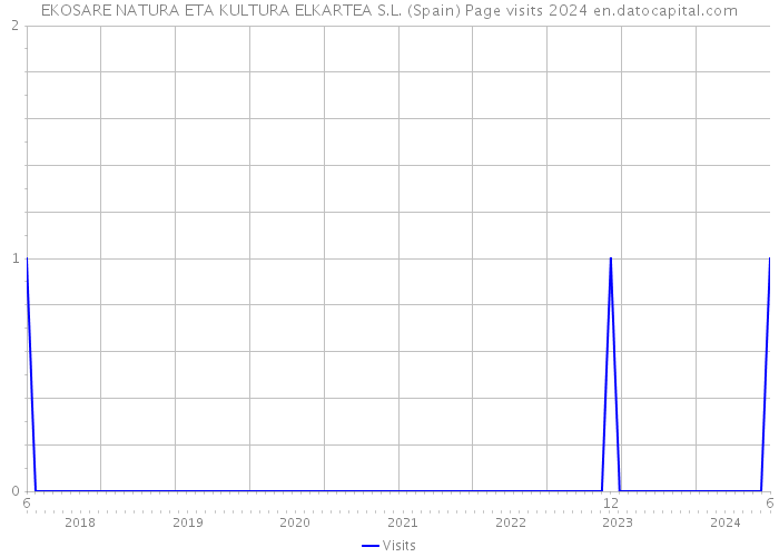 EKOSARE NATURA ETA KULTURA ELKARTEA S.L. (Spain) Page visits 2024 