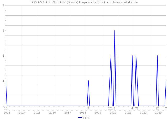 TOMAS CASTRO SAEZ (Spain) Page visits 2024 