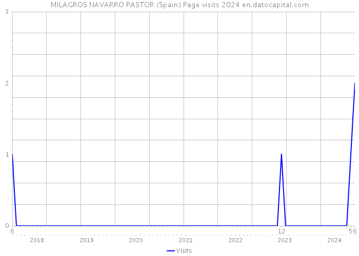 MILAGROS NAVARRO PASTOR (Spain) Page visits 2024 