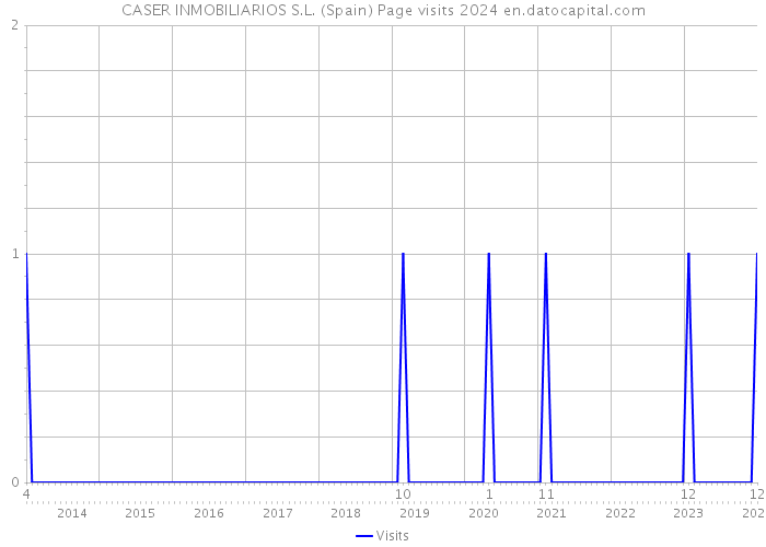 CASER INMOBILIARIOS S.L. (Spain) Page visits 2024 