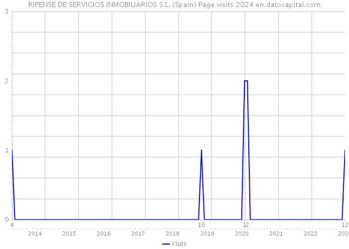 RIPENSE DE SERVICIOS INMOBILIARIOS S.L. (Spain) Page visits 2024 