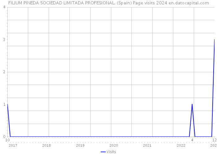 FILIUM PINEDA SOCIEDAD LIMITADA PROFESIONAL. (Spain) Page visits 2024 