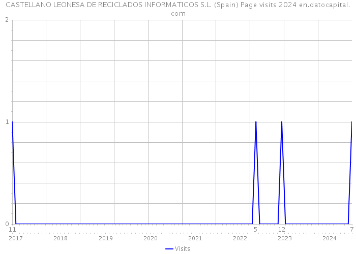 CASTELLANO LEONESA DE RECICLADOS INFORMATICOS S.L. (Spain) Page visits 2024 