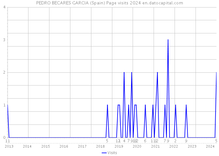 PEDRO BECARES GARCIA (Spain) Page visits 2024 