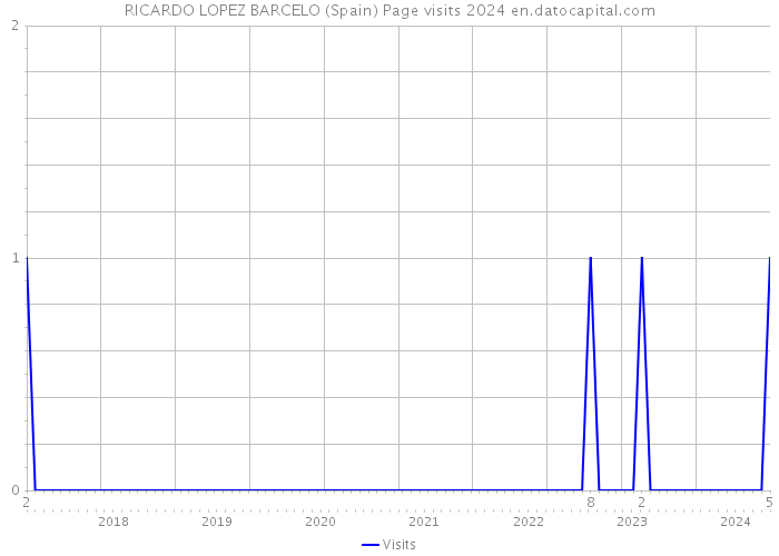 RICARDO LOPEZ BARCELO (Spain) Page visits 2024 