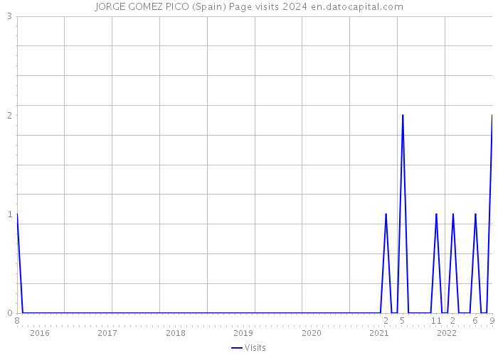 JORGE GOMEZ PICO (Spain) Page visits 2024 