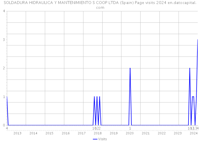 SOLDADURA HIDRAULICA Y MANTENIMIENTO S COOP LTDA (Spain) Page visits 2024 