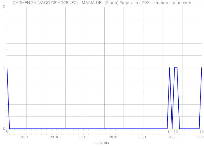 CARMEN SALVAGO DE ARCENEGUI MARIA DEL (Spain) Page visits 2024 
