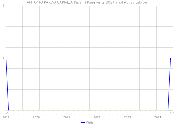 ANTONIO PARDO CAPI-LLA (Spain) Page visits 2024 