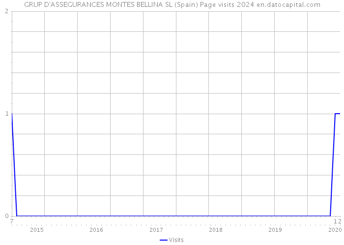 GRUP D'ASSEGURANCES MONTES BELLINA SL (Spain) Page visits 2024 