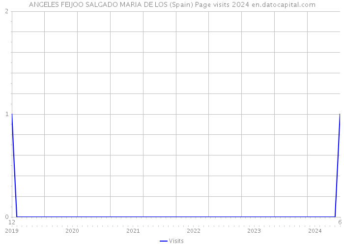 ANGELES FEIJOO SALGADO MARIA DE LOS (Spain) Page visits 2024 