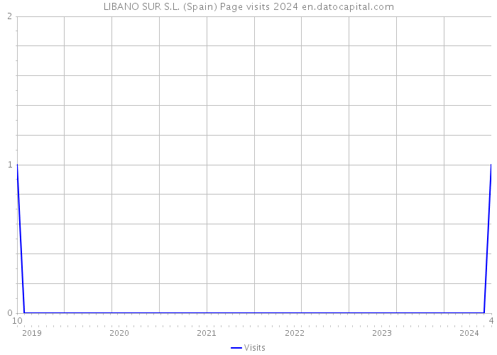 LIBANO SUR S.L. (Spain) Page visits 2024 