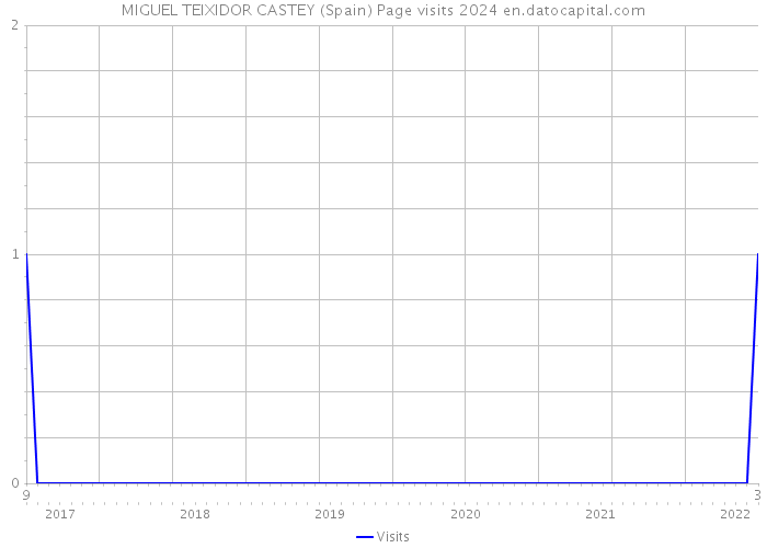 MIGUEL TEIXIDOR CASTEY (Spain) Page visits 2024 