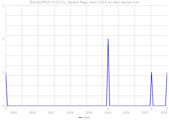 EUCALIPTUS 2013 S.L. (Spain) Page visits 2024 