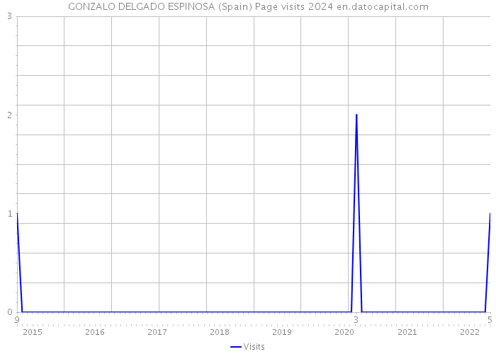 GONZALO DELGADO ESPINOSA (Spain) Page visits 2024 