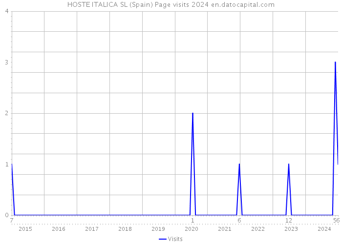 HOSTE ITALICA SL (Spain) Page visits 2024 