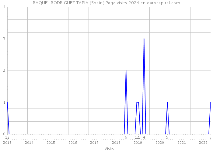 RAQUEL RODRIGUEZ TAPIA (Spain) Page visits 2024 