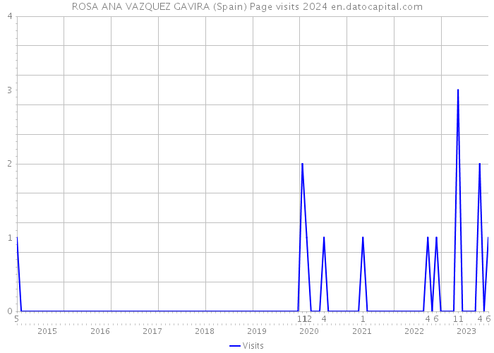 ROSA ANA VAZQUEZ GAVIRA (Spain) Page visits 2024 
