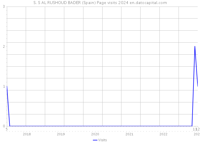 S. S AL RUSHOUD BADER (Spain) Page visits 2024 