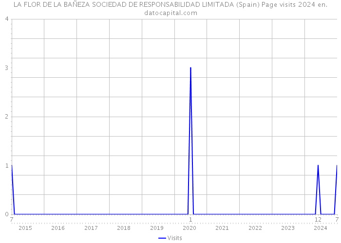 LA FLOR DE LA BAÑEZA SOCIEDAD DE RESPONSABILIDAD LIMITADA (Spain) Page visits 2024 