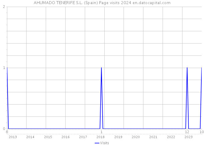 AHUMADO TENERIFE S.L. (Spain) Page visits 2024 