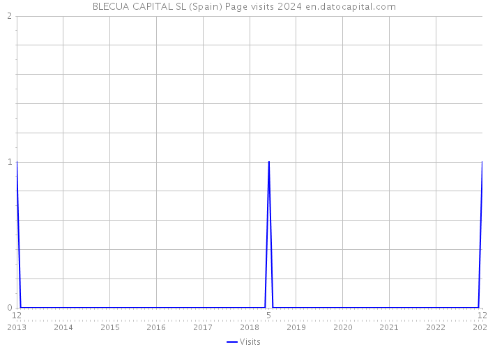 BLECUA CAPITAL SL (Spain) Page visits 2024 