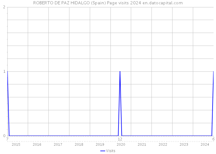 ROBERTO DE PAZ HIDALGO (Spain) Page visits 2024 