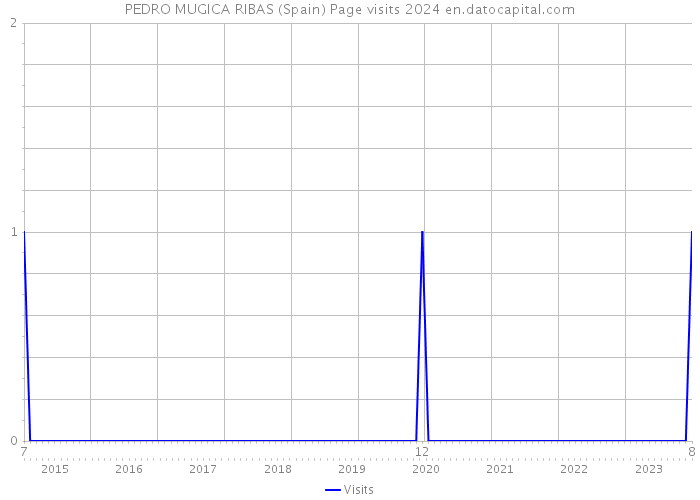 PEDRO MUGICA RIBAS (Spain) Page visits 2024 