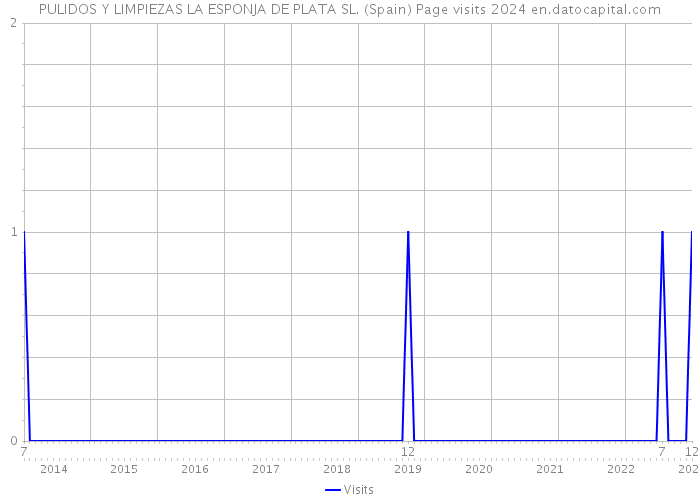 PULIDOS Y LIMPIEZAS LA ESPONJA DE PLATA SL. (Spain) Page visits 2024 