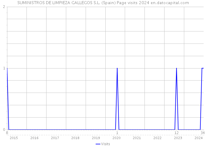 SUMINISTROS DE LIMPIEZA GALLEGOS S.L. (Spain) Page visits 2024 